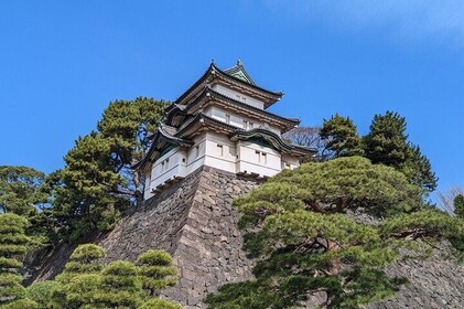 Tokyo Imperial Palace Shogun and Edo Castle Walking Tour