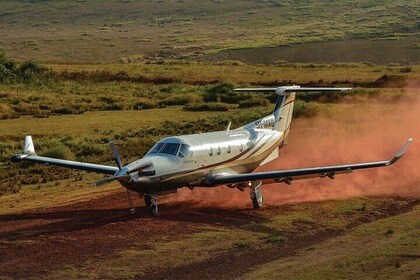 4 Day Exclusive Fly In Serengeti Migration Safari