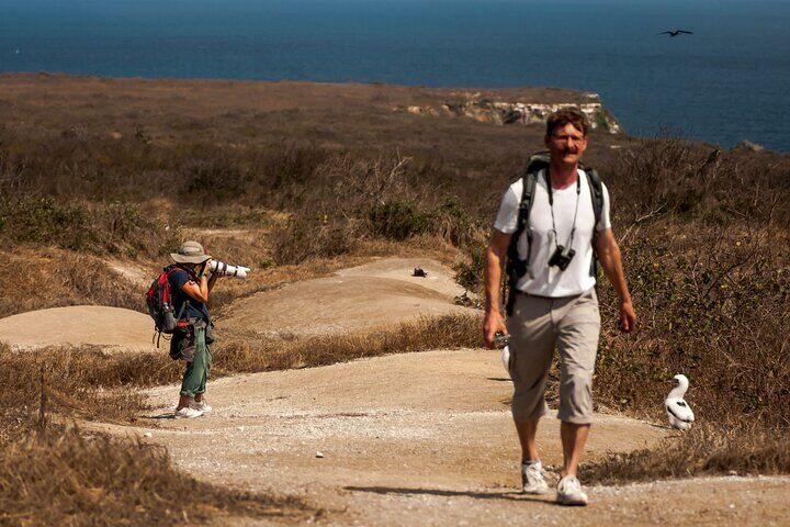 Isla de la Plata: Wildlife Trails & Snorkeling at Machalilla Park