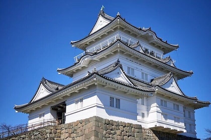 Odawara Castle Guided Tour and Japanese Tea Experience