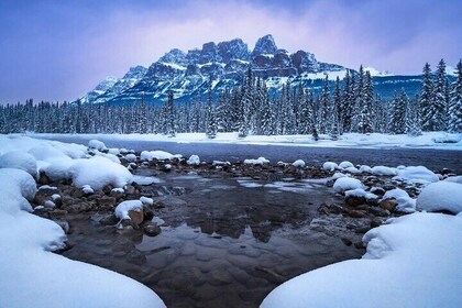 Winter Private Full Day Banff and Icefields Parkway Tour