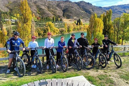 Queenstown - Private Family Group Bike Tour, Up to 11 E-bikes