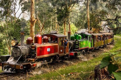 Puffing Billy, Forest Trails and Yarra Valley Discovery Tour