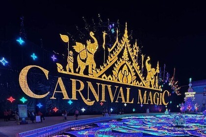 Carnival Magic Show Ticket