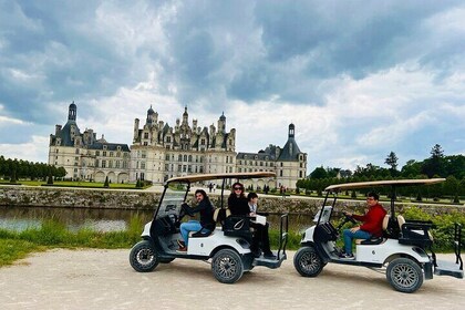 Loire Valley Private Tour from Paris: Château & Golf Cart + Gift