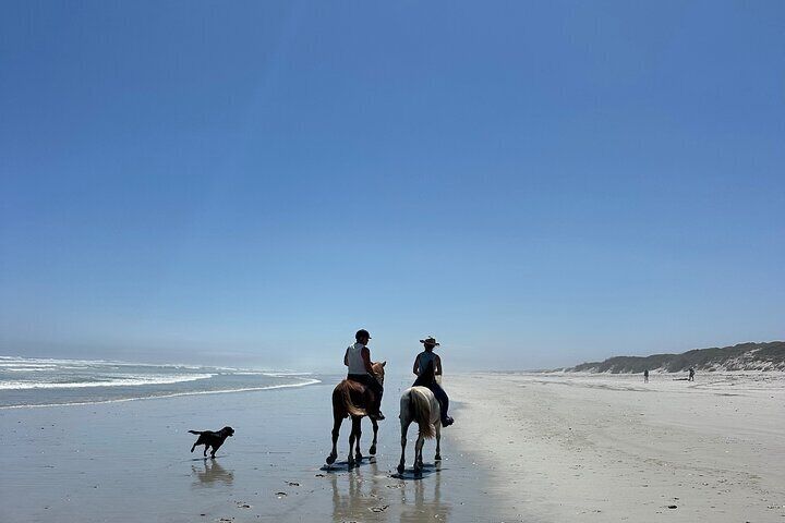 Beach Horse Ride in Yzerfontein, Western Cape