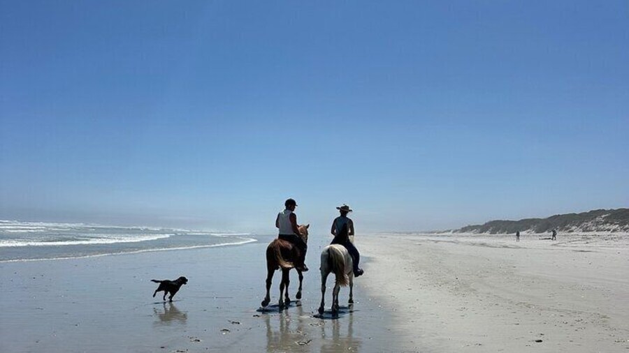 Beach Horse Ride in Yzerfontein, Western Cape
