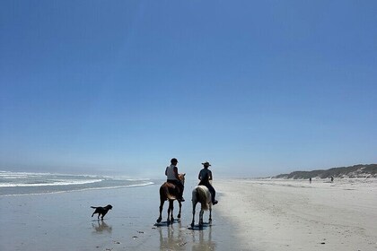 Beach Horse Ride in Yzerfontein, Western Cape