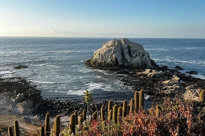 Full Day to the Coast from Santiago with Gourmet Lunch
