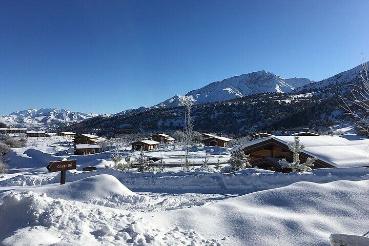 Amirsoy, Chimgan & Charvak Trip with Green Somsa and Tea