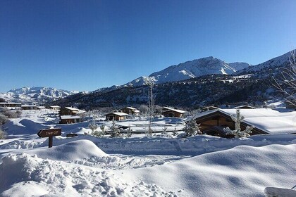 Amirsoy, Chimgan & Charvak Trip with Green Somsa and Tea