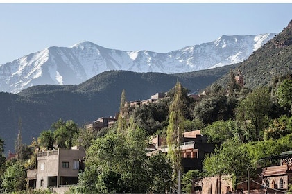 Private Ourika Valley Day Trip from Marrakech