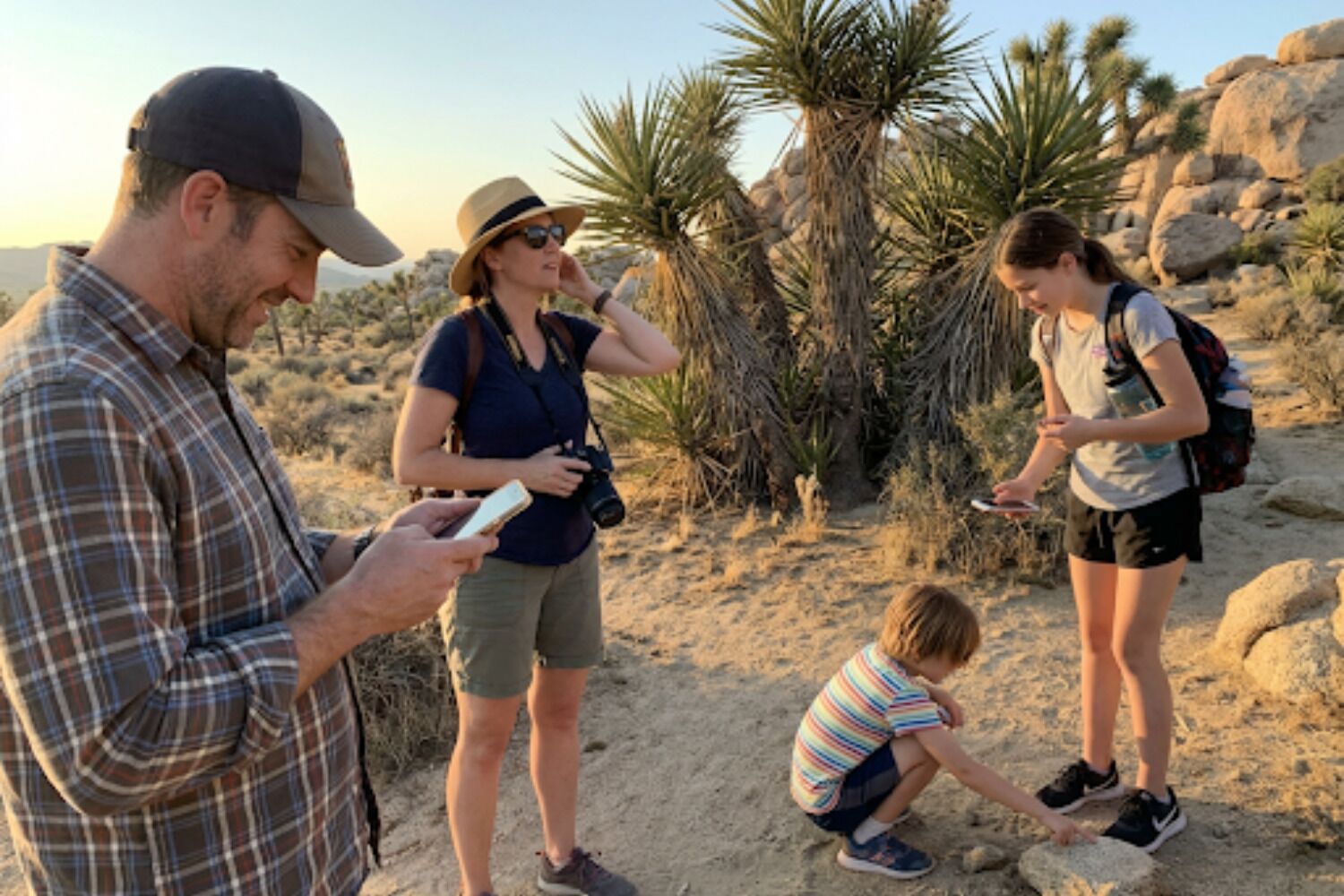 Joshua Tree National Park Ultimate Trip Planner and Travel Guide