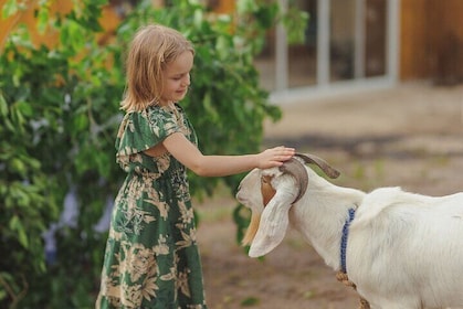 Nature Camp for Young Children in Cherngtalay Phuket