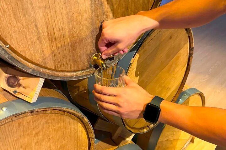 Panda and Premium Whisky a Contrasting Day in Sichuan