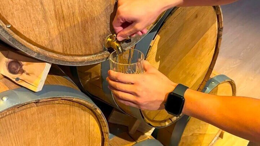 Panda and Premium Whisky a Contrasting Day in Sichuan