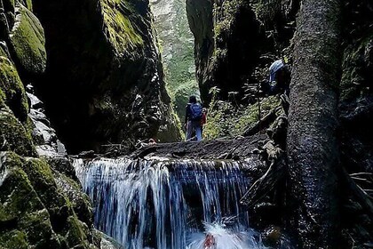 Popocatepetl Volcano Gorge: Canyon & Sulphur Springs Hike
