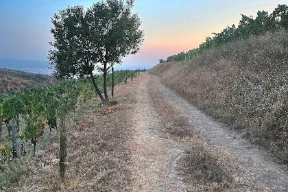 Berat Private Sunset Tour with Wine and Fruits