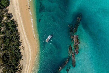 Moreton Island: Premium Tangalooma Snorkel & Dolphin Tour