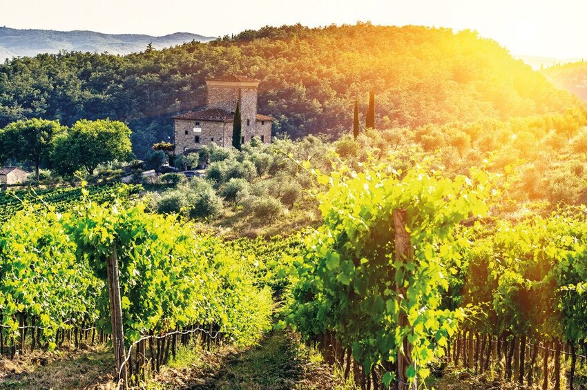Tuscany By E-Bike from Florence