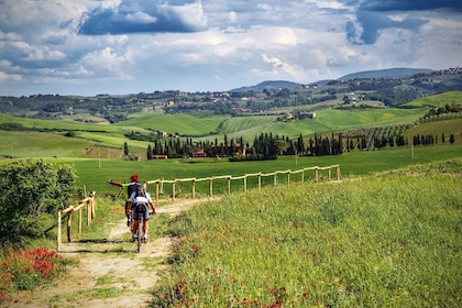 La Toscana en E-Bike desde Florencia