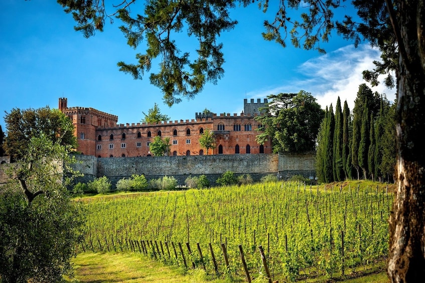 Tuscany By E-Bike from Florence