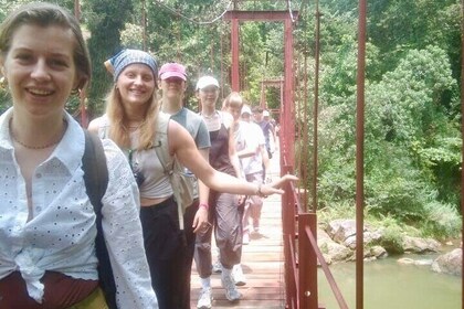 Experience the Magic of Sinharaja Rainforest