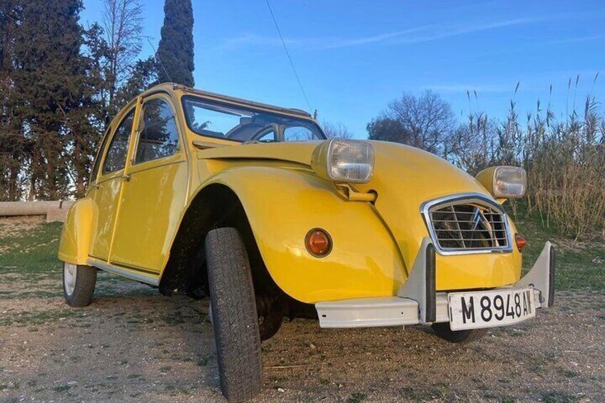 Classic Citroen 2CV