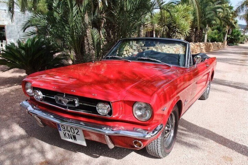 Our 1965 V8 Mustang