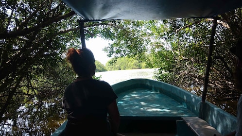 .Baby Turtle Release, Lagoon Boat Ride, and Crocodile Farm