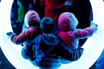 Houston: Radiant Nature Winter Light Show Tickets