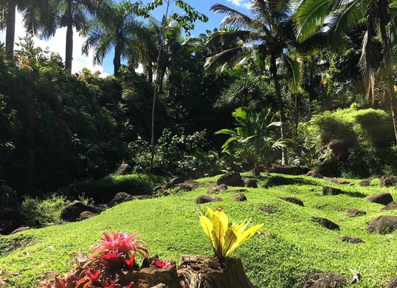 Princeville: Guided Botanical Gardens and Chocolate Tour