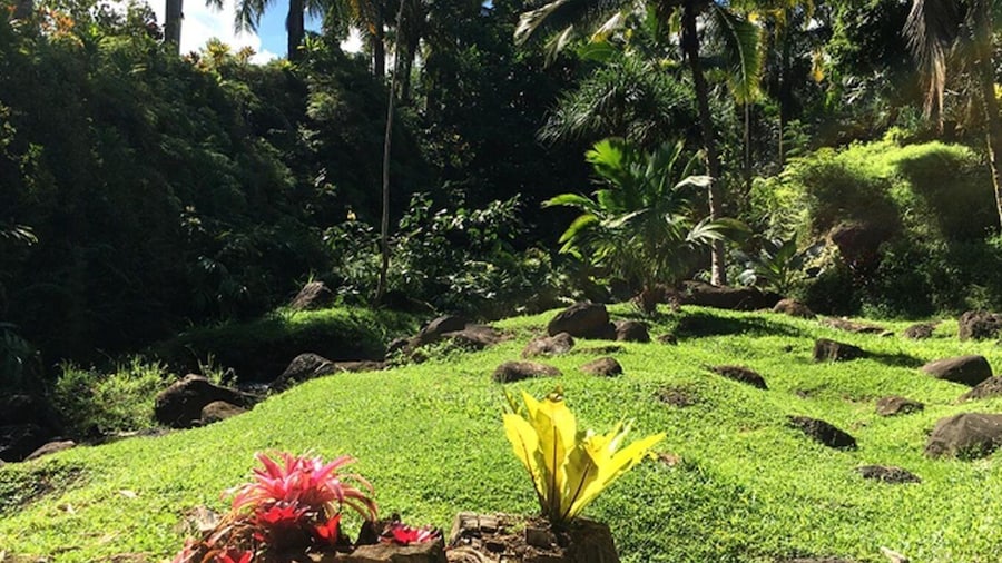 Princeville: Guided Botanical Gardens and Chocolate Tour