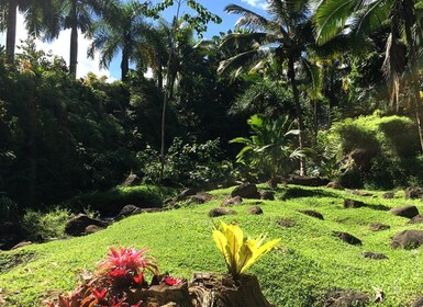Princeville: Guided Botanical Gardens and Chocolate Tour