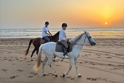 Essaouira Beach Horseback or Camel Ride
