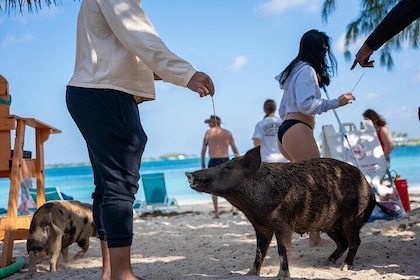 Rose Island Private Boat Tour Departing Nassau