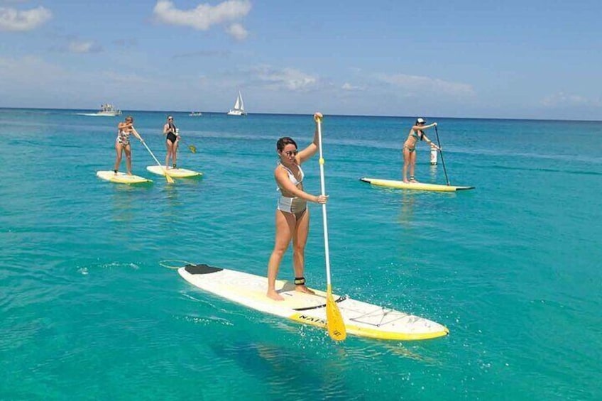 Stand Up Paddleboard Rental on St. Croix