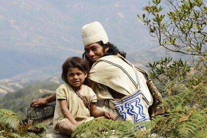 Indigenous Heritage Trekking in Minca : Cocoa, Cafe & Waterfall