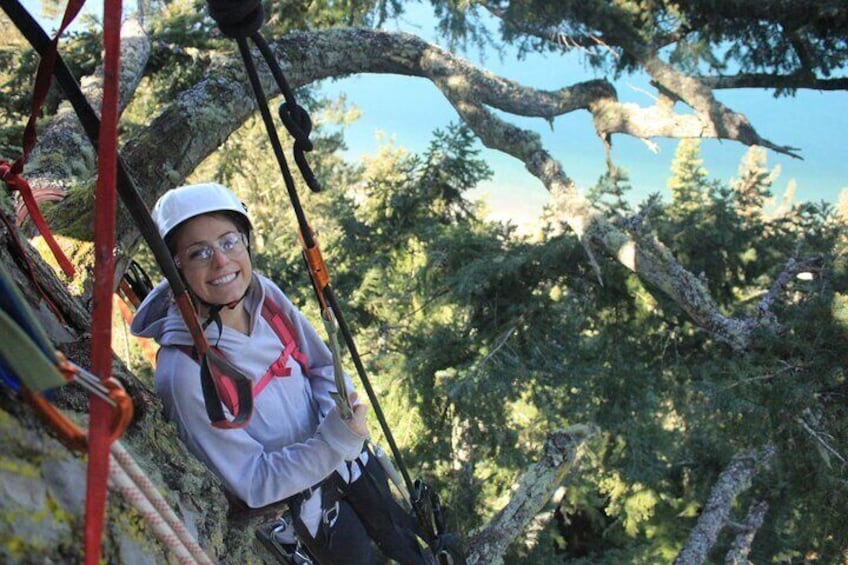 Sunset Canopy Climb on Lopez Island