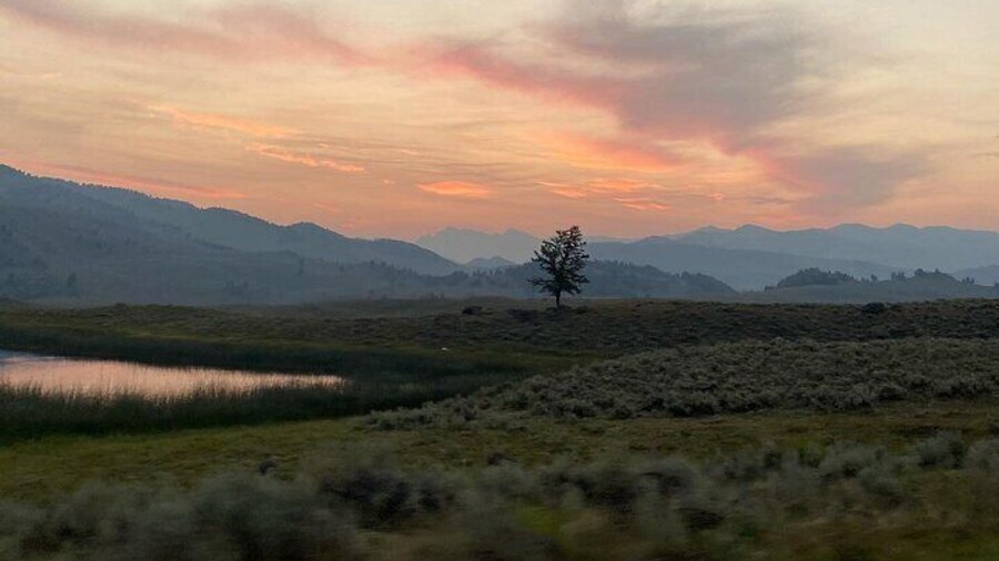 Private Evening/Sunset Wildlife Encounter Tour