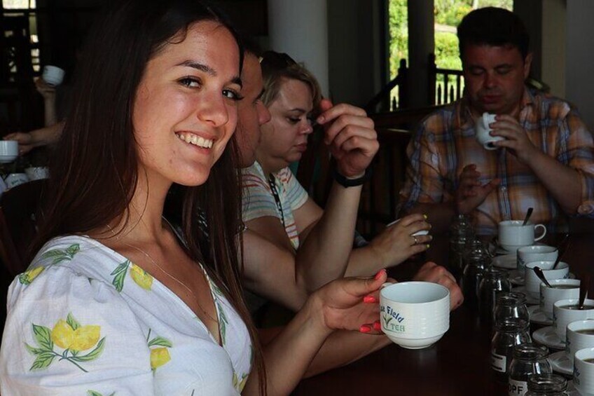 Ella Day Tour with Panoramic Train Ride & Tea Planation Visit