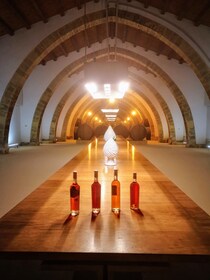 The Florio family, Marsala and Trapani, wine and salt