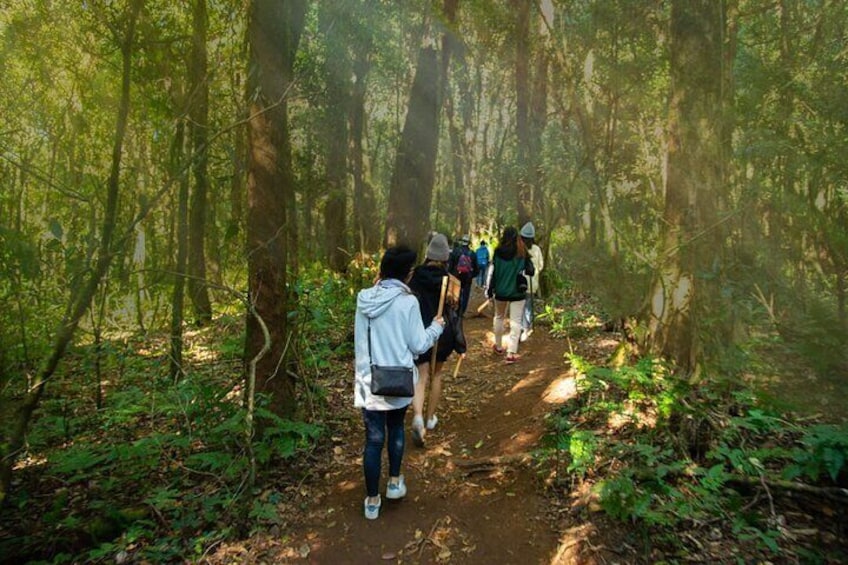 Half-Day Sightseeing Walking Tour in Mae Wang with Pickup