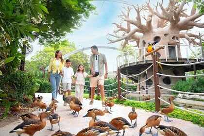 Dubai Safari Park Your Ultimate Safari Experience