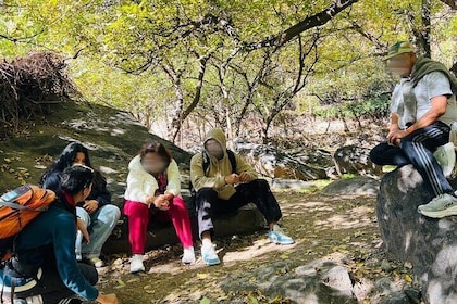 Berber Heritage and Mountain Beauty Exclusive Imlil Day Trip