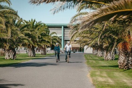 Coast to Country Winery Cycle Tour