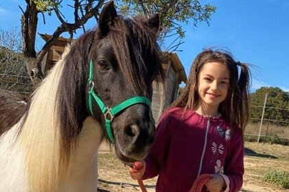 Cagliari Visit the Animals of a Farm