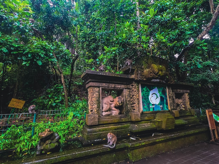 Ubud Tour with Monkey Forest & Balinese Healing
