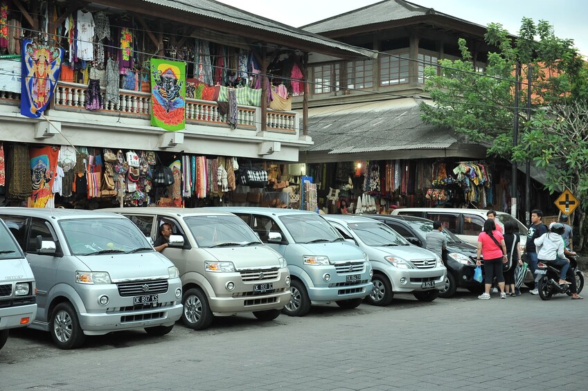 Ubud Tour with Monkey Forest & Balinese Healing