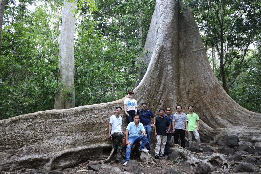 Tour group standing next to a unique tree in Cat Tien National Park in Vietnam

